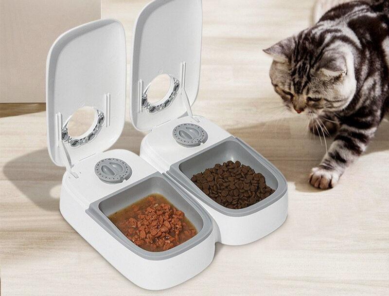 SmartPet - Automatischer Futterspender für Katzen